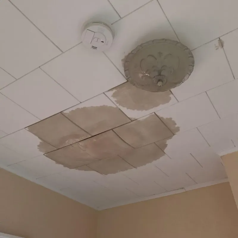 Ceiling Water Damage Repair in Comfort, TX