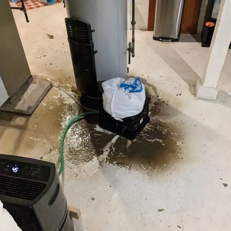 Sewage Backup Cleanup Service in Comfort, TX